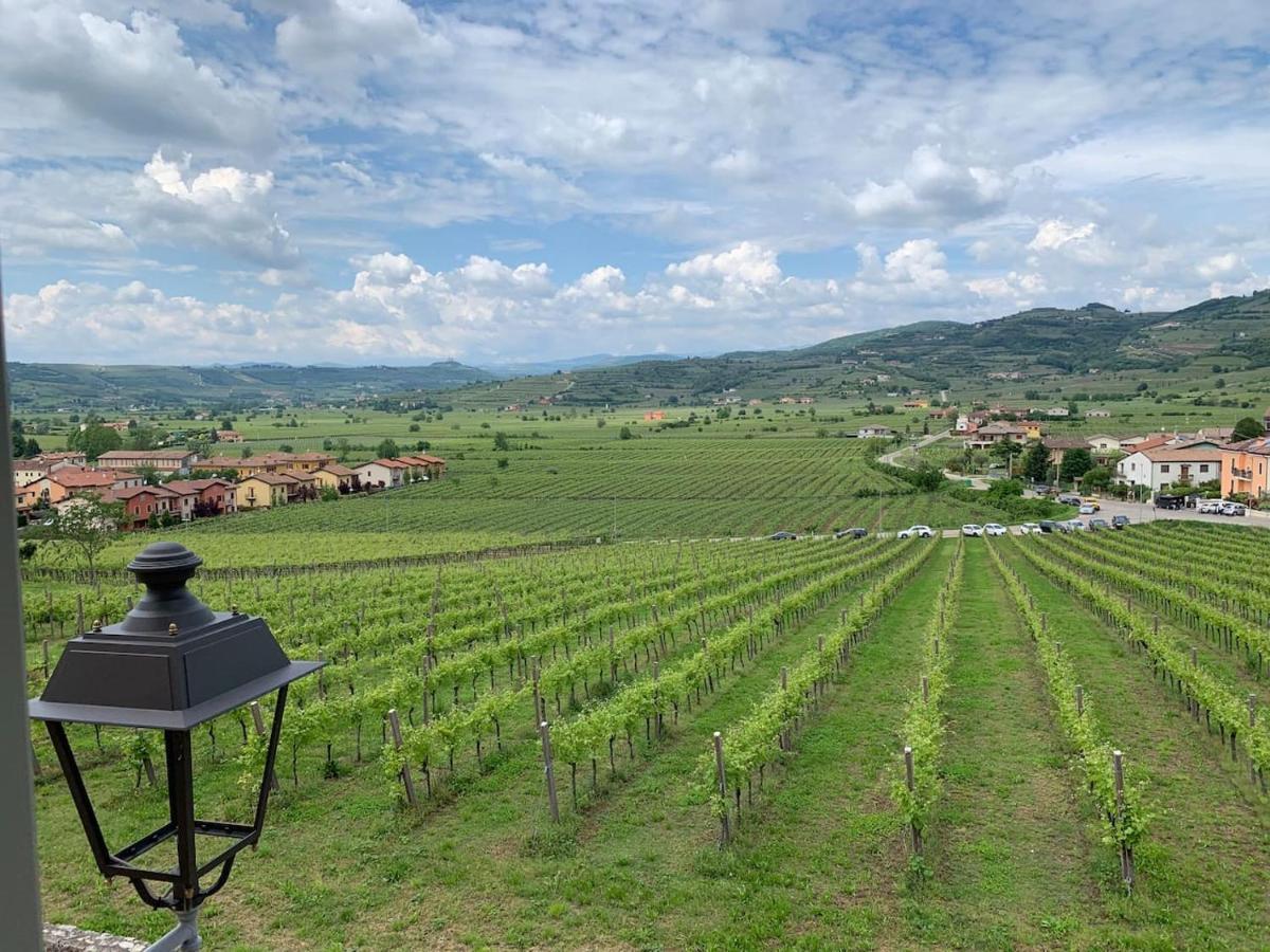 Soave House Alle Vigne-2-Luxury Stay Eksteriør billede